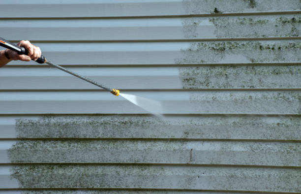 Best House Pressure Washing  in National Park, NJ
